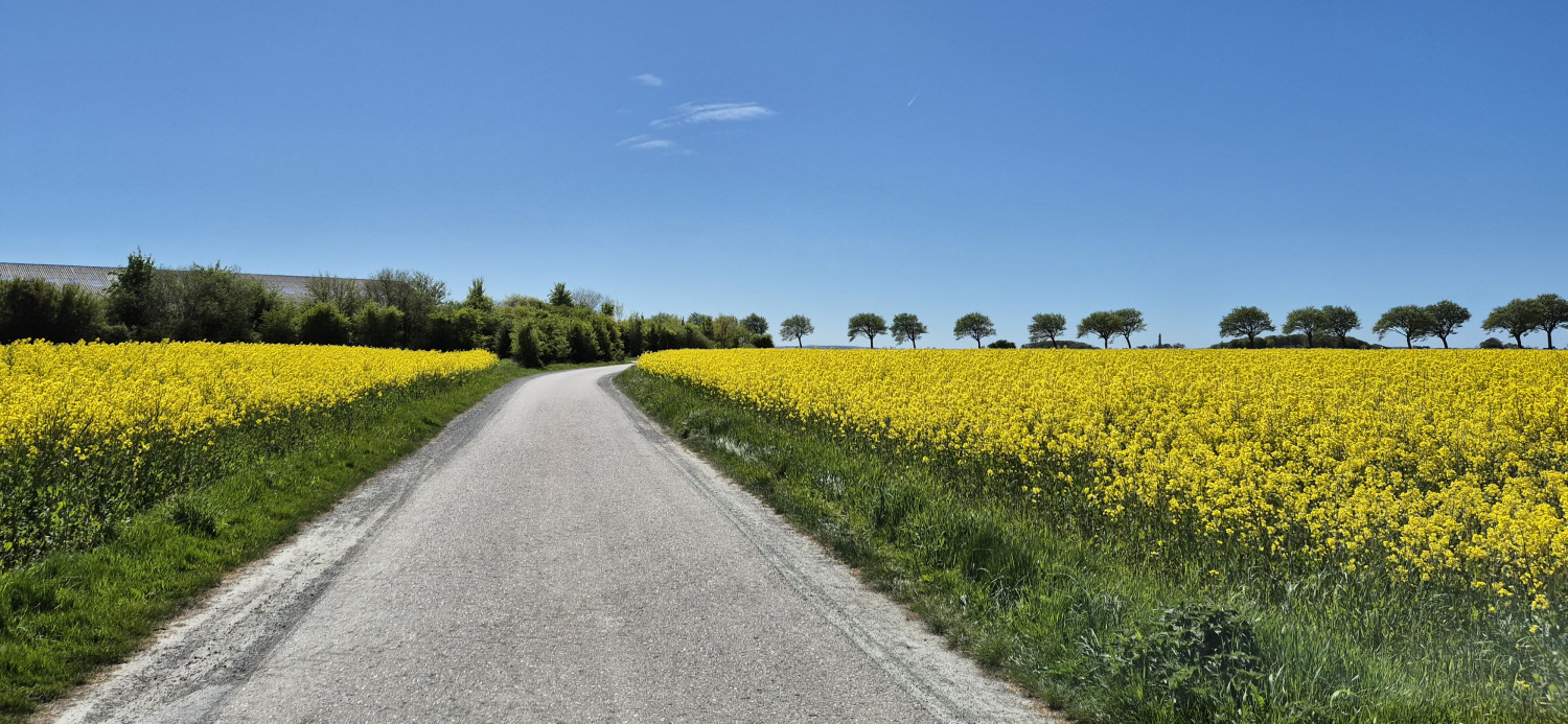 Foto Fahrrradgruppe Raps 2