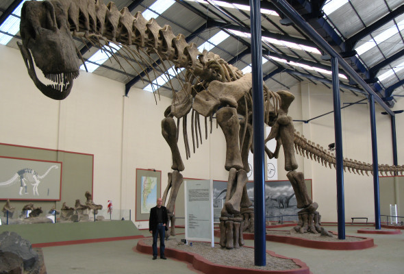 Abb 8 Argentinosaurus 1