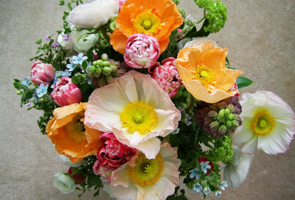 bouquet of flowers 1325510 1280